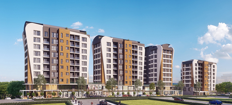 Project image 10