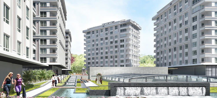 Project image 14