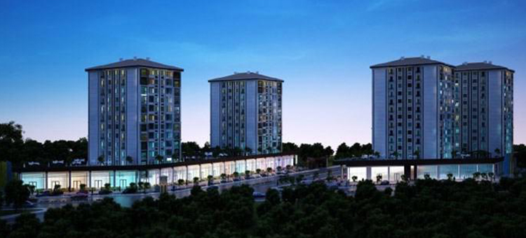 Project image 19