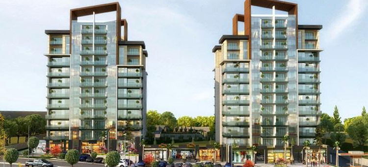 Project image 11