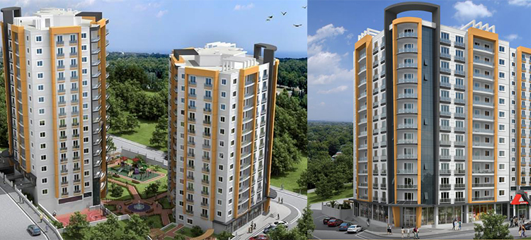 Project image 12