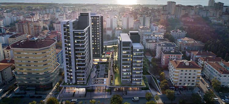 Project image 11