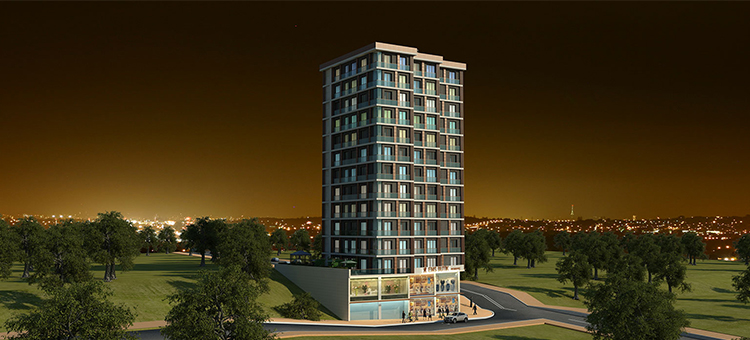 Project image 11