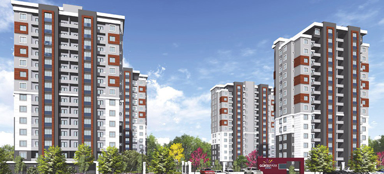 Project image 11