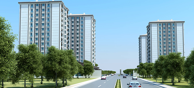 Project image 13