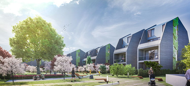 Project image 12