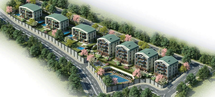 Project image 9