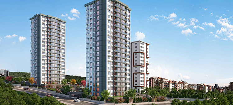 Project image 15