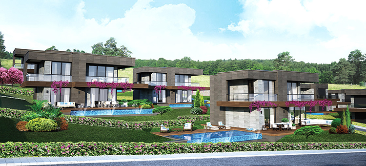 Project image 11