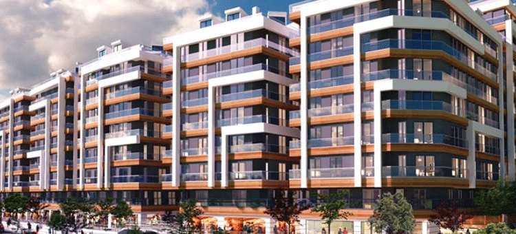 Project image 11