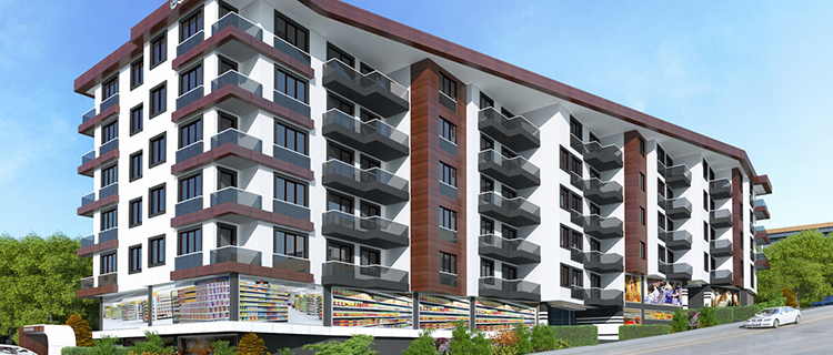 Project image 10