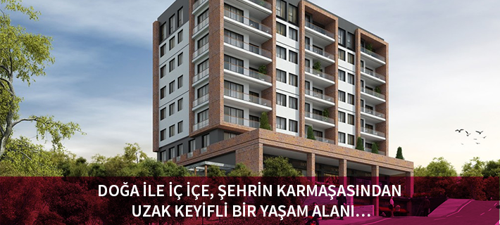 Project image 9