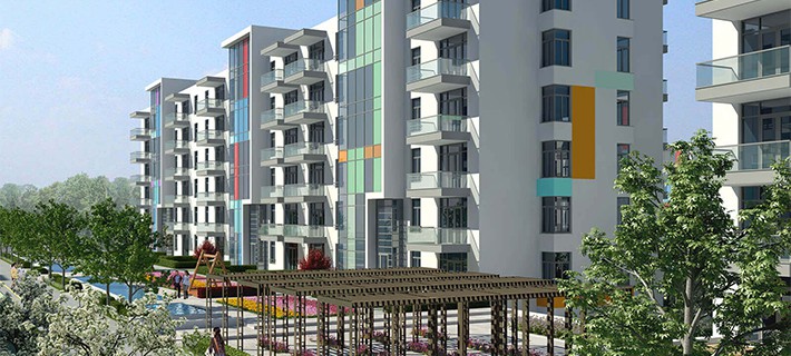 Project image 14
