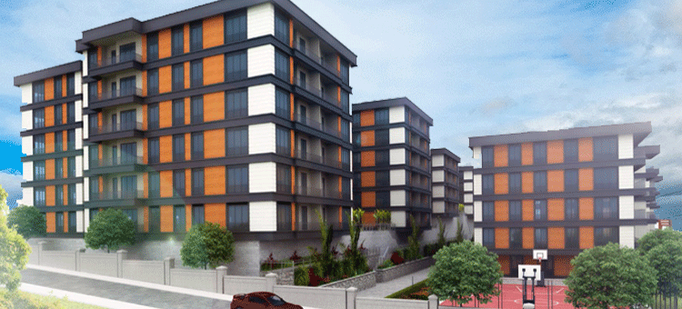 Project image 9