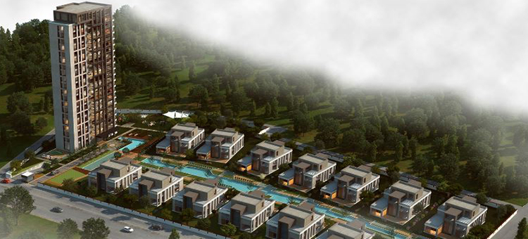 Project image 9