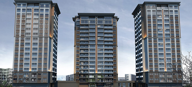 Project image 14