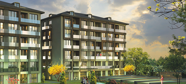 Project image 9