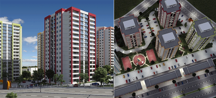 Project image 12