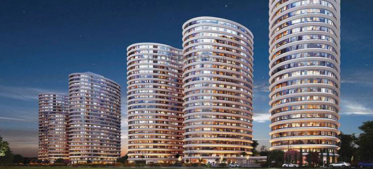 Project image 12