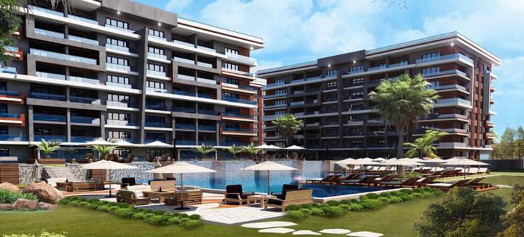 Project image 11
