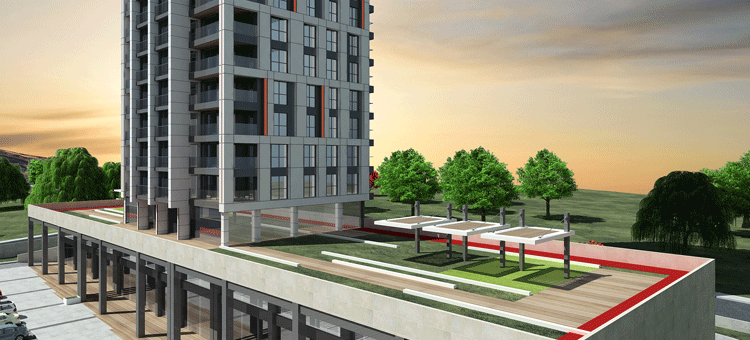 Project image 11