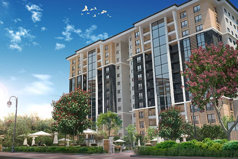 Kaşüstü Aquamarine Platinum