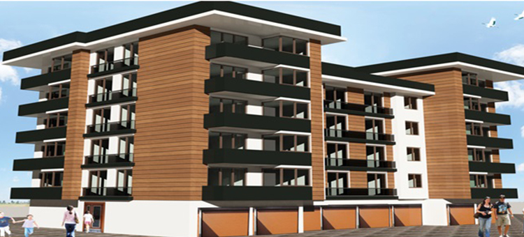 Project image 9