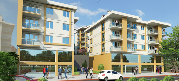 Project image 9