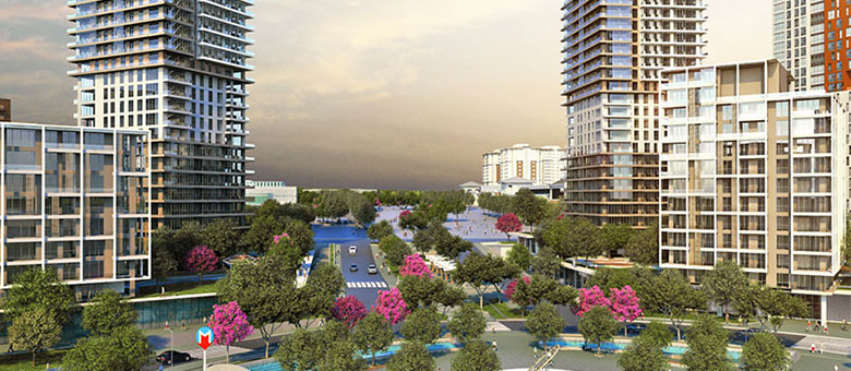 Project image 10