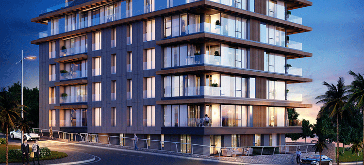 Project image 13