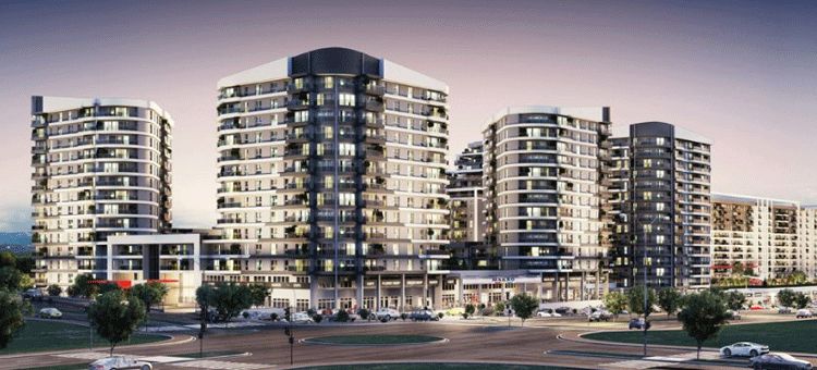 Project image 15
