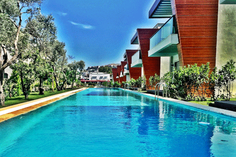 Neon Türkbükü Evleri