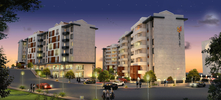 Project image 16