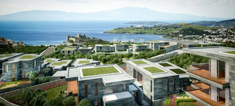 Project image 13