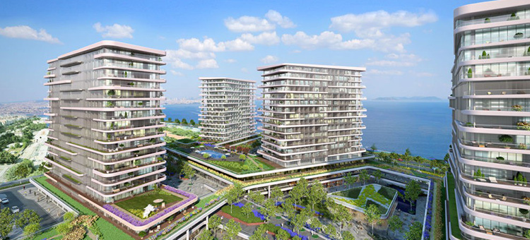 Project image 10