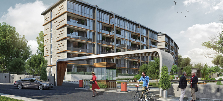 Project image 13