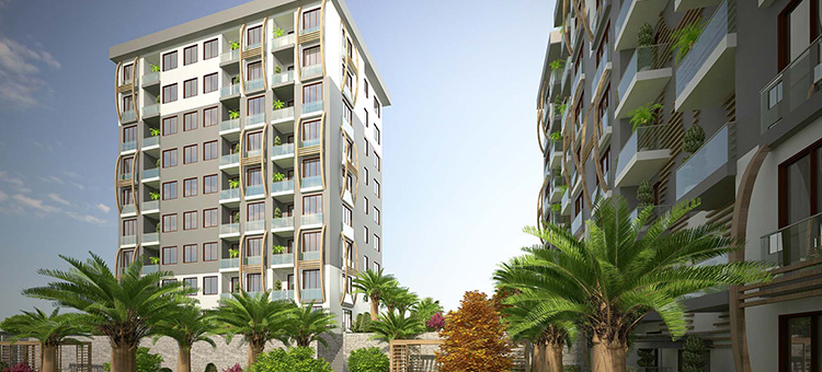 Project image 9