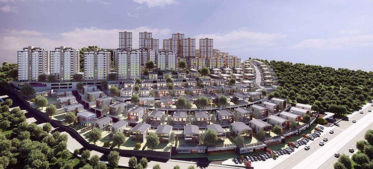 Project image 11