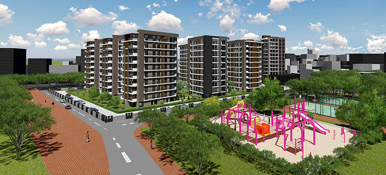 Project image 11