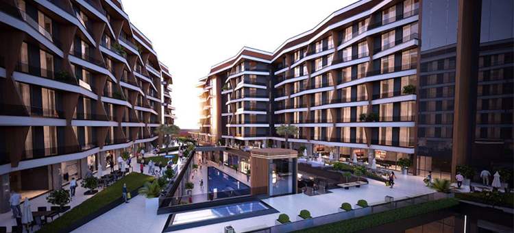 Project image 10