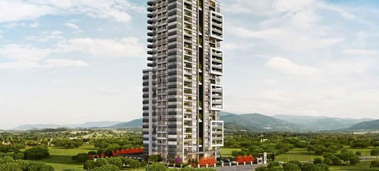 Project image 13