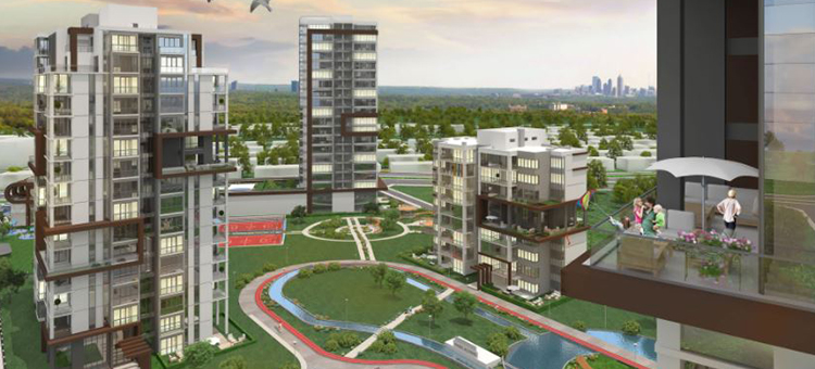 Project image 12