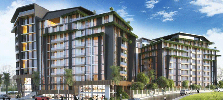 Project image 10