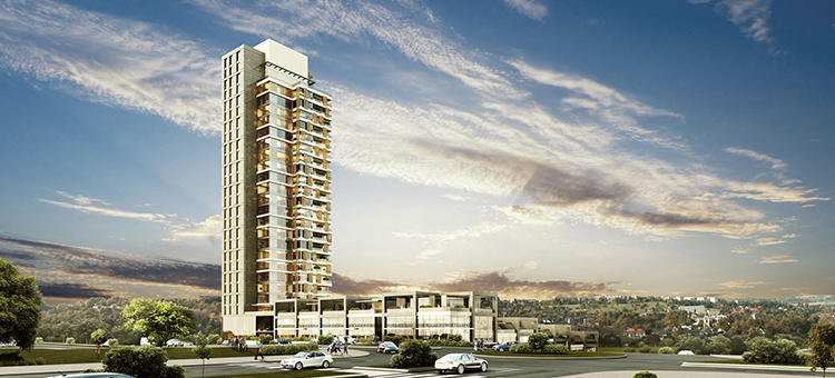 Project image 18
