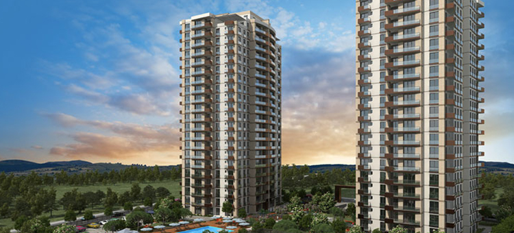 Project image 10