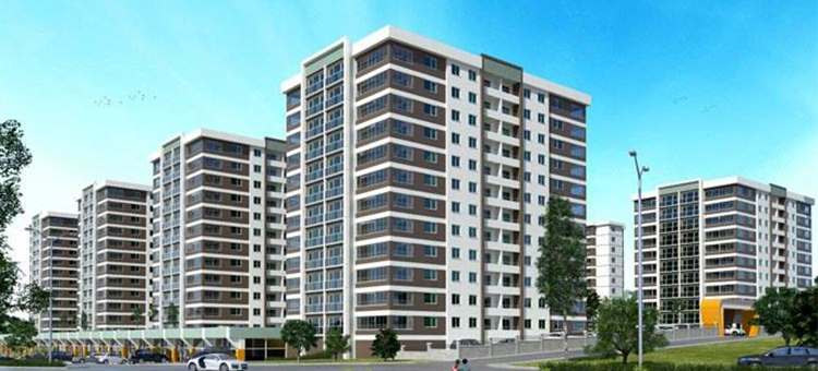 Project image 12