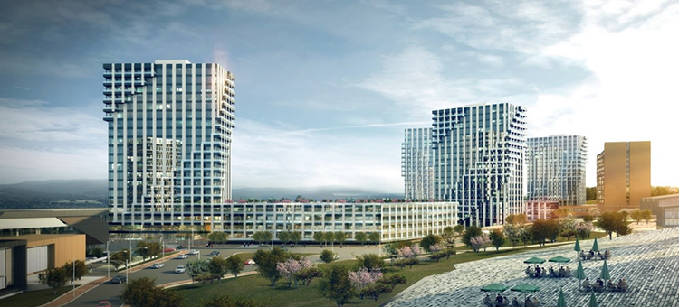Project image 12