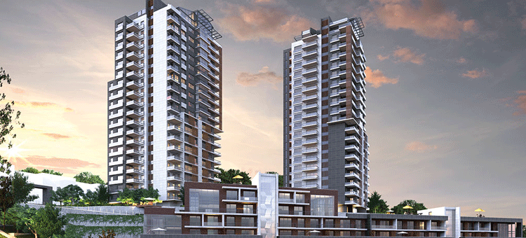 Project image 15