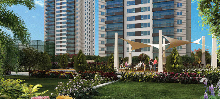 Project image 11