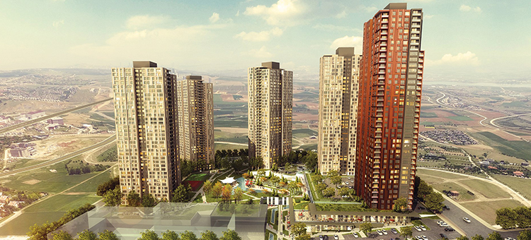 Project image 13